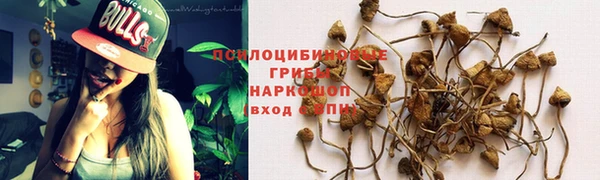 каннабис Бородино
