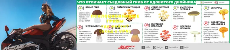 Галлюциногенные грибы мухоморы  Бородино 